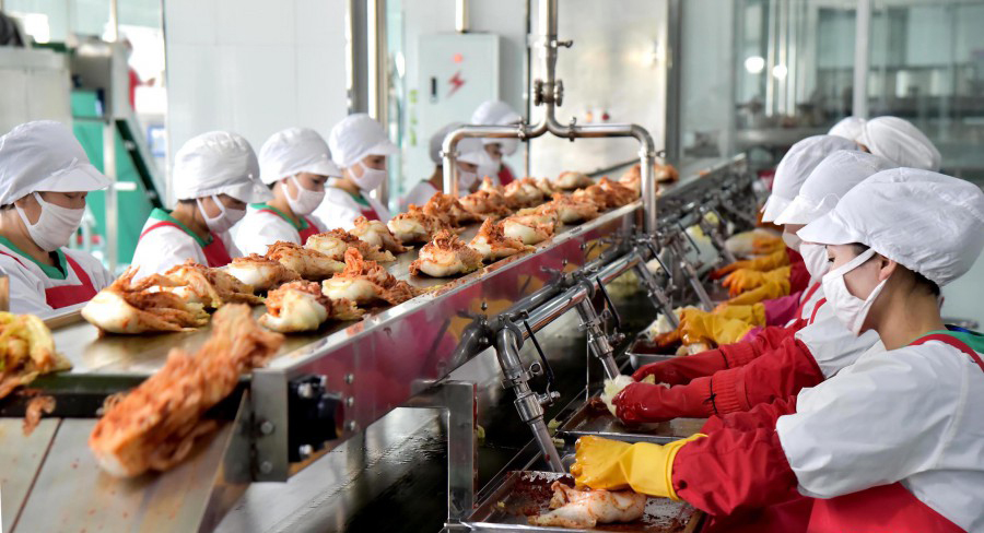 녀성들의 일터 (1)