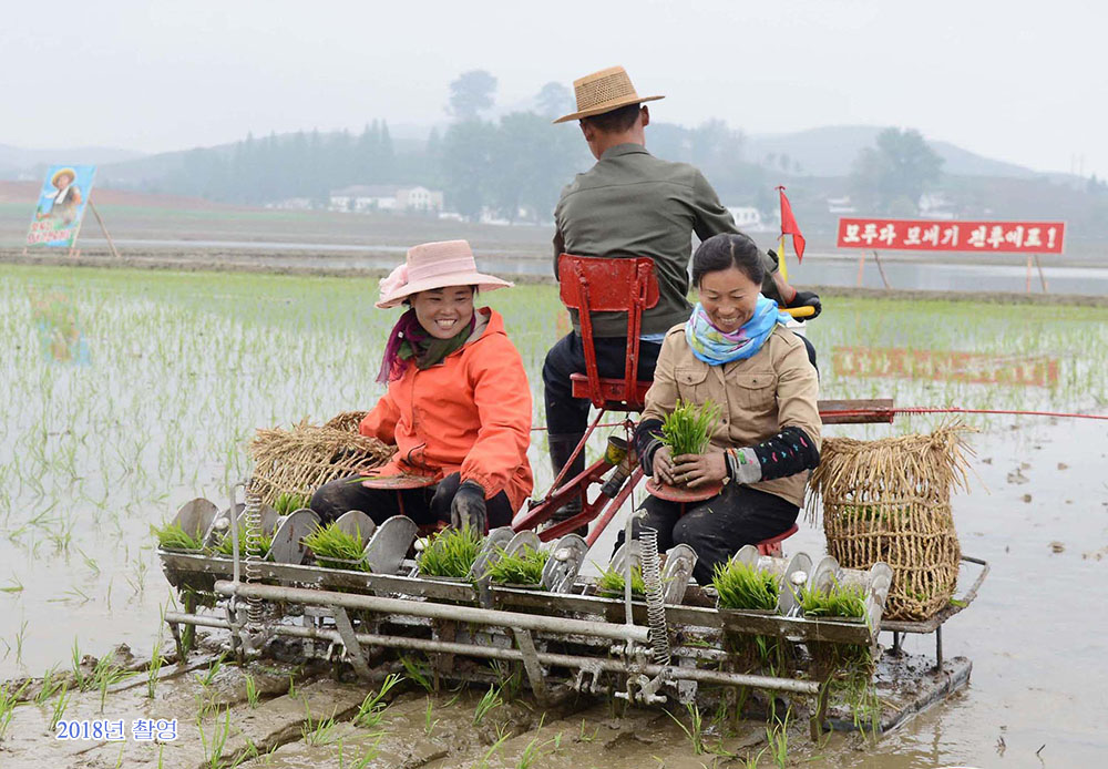 녀성들의 일터 (1)