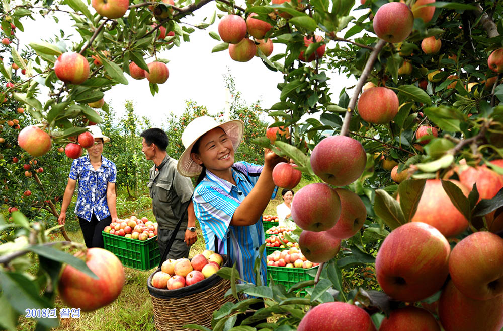 녀성들의 일터 (1)