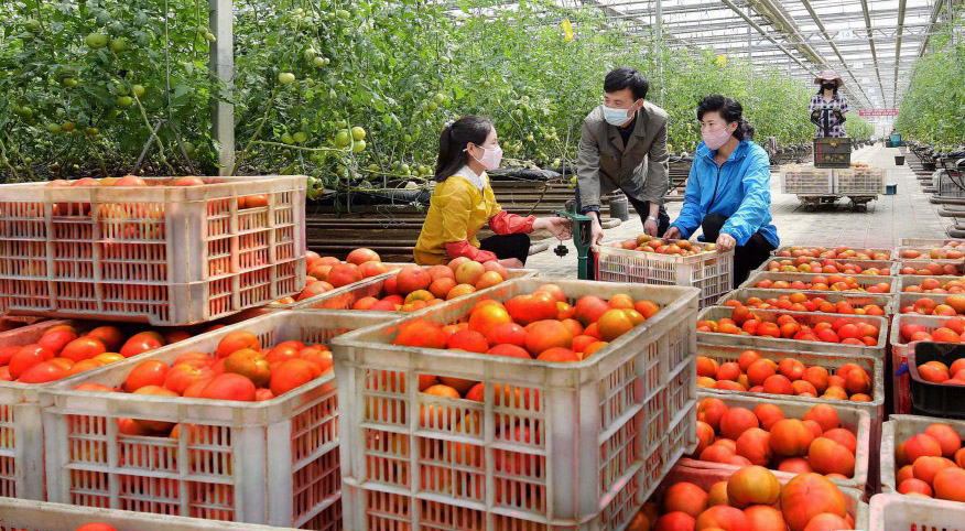 녀성들의 일터 (1)