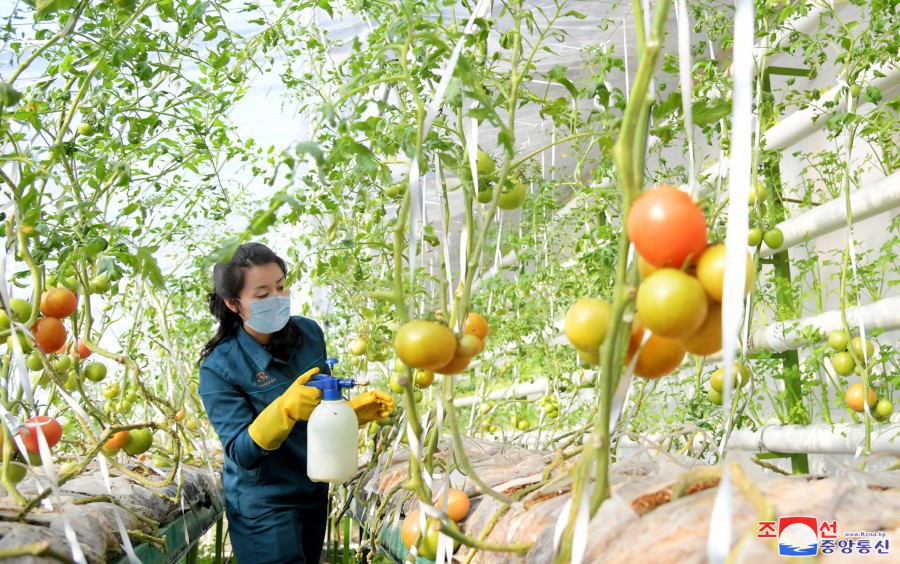 녀성들의 일터 (1)