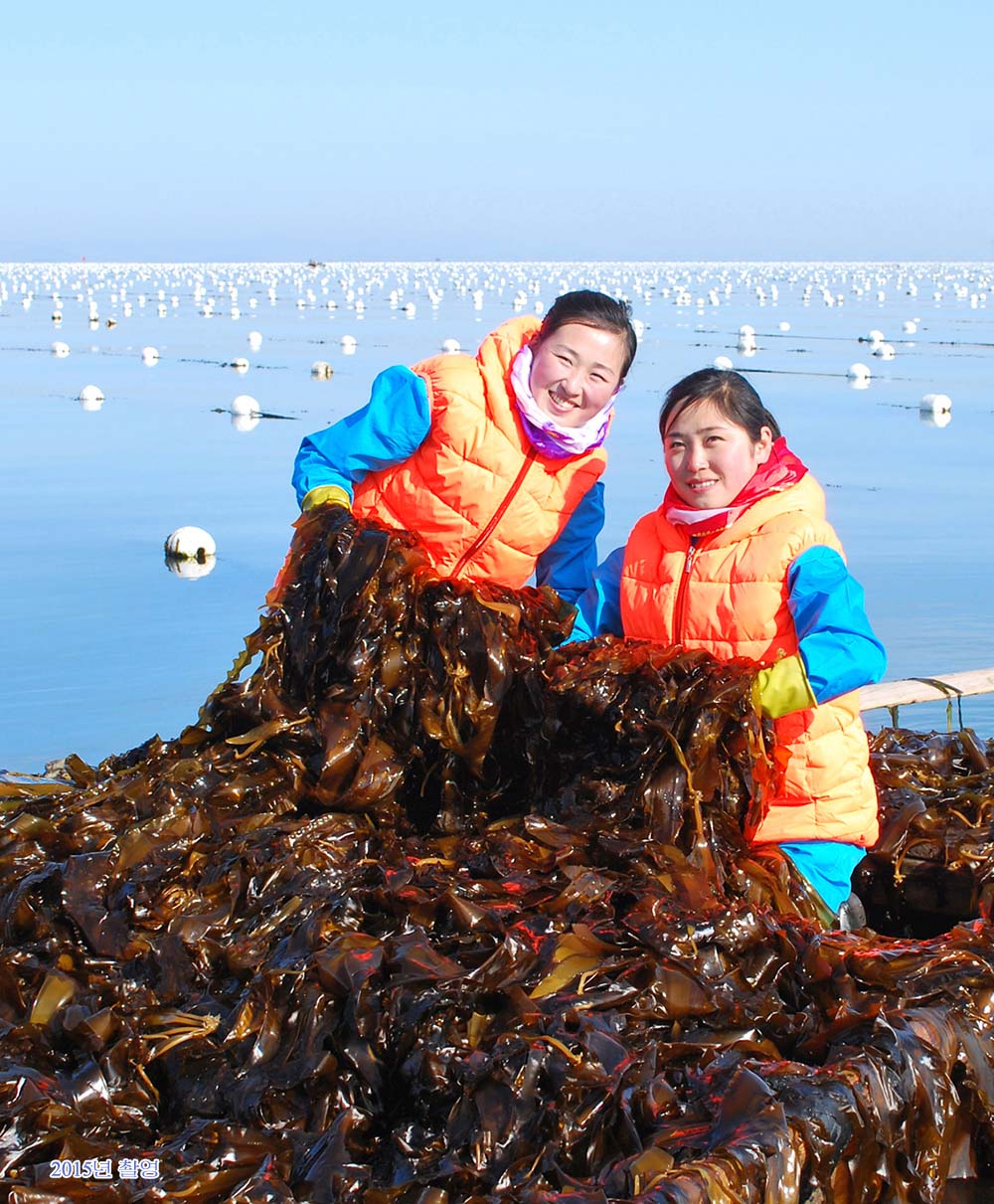 녀성들의 일터 (1)