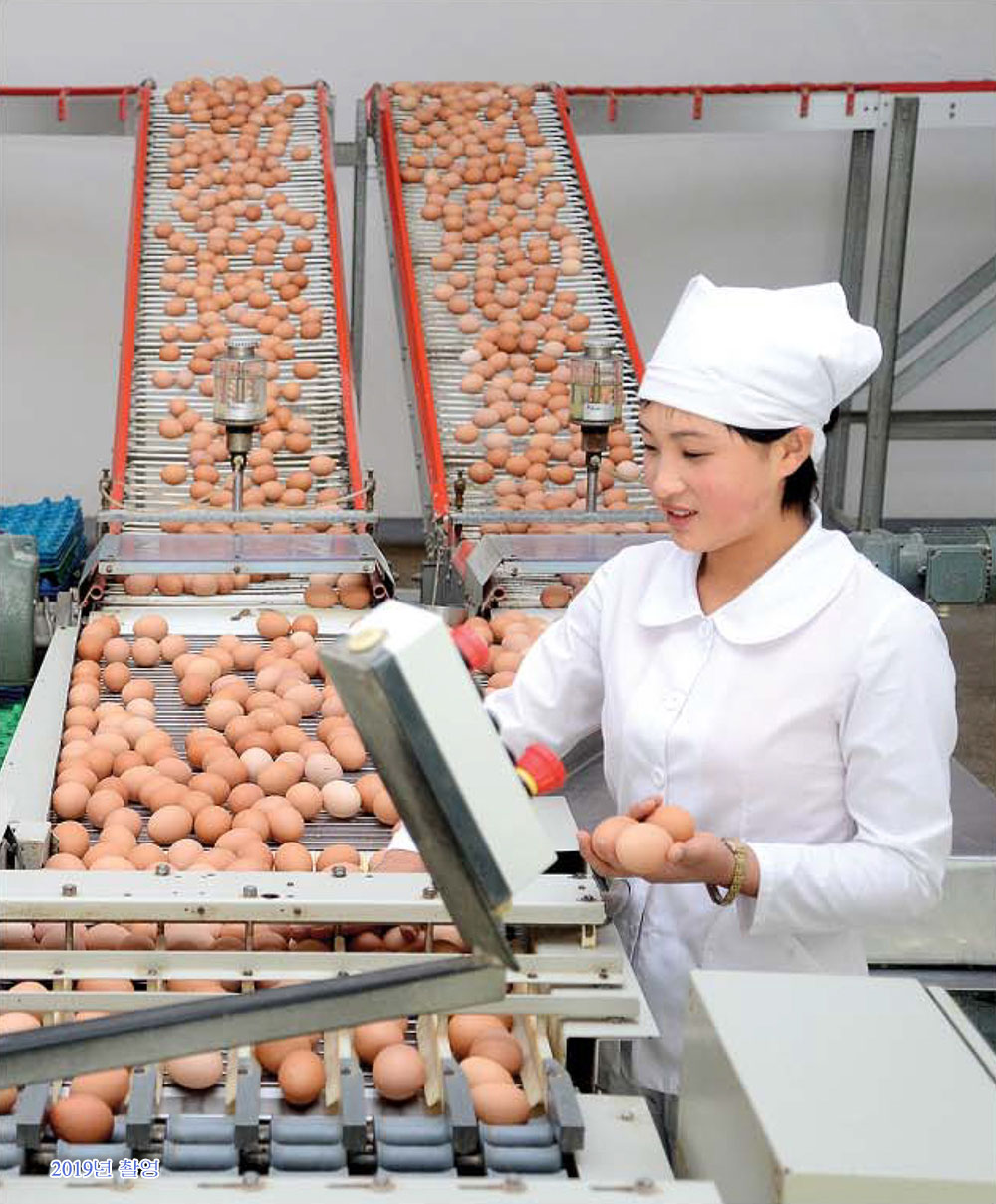 녀성들의 일터 (1)