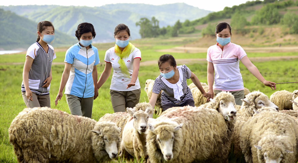 녀성들의 일터 (1)