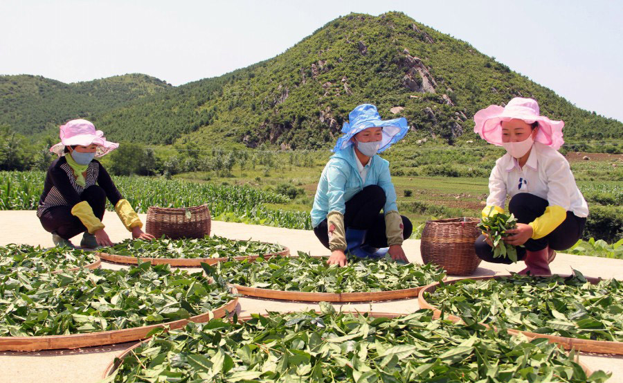 녀성들의 일터 (1)