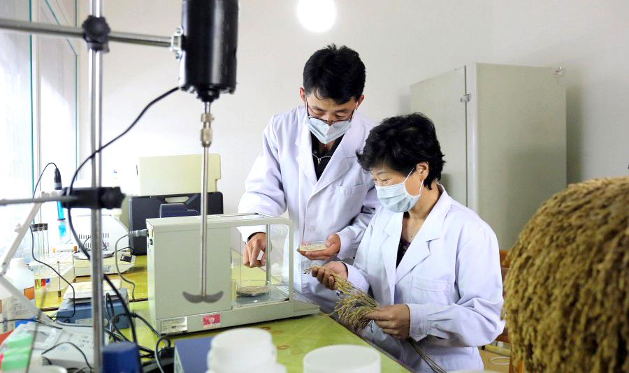 녀성들의 일터 (1)