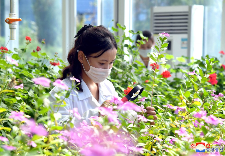 녀성들의 일터 (1)