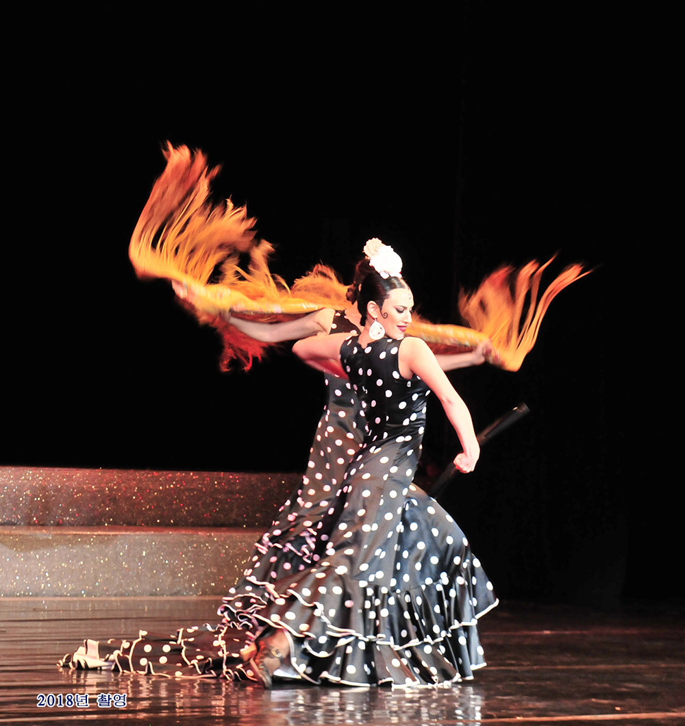 국제적인 예술축전《4월의 봄 친선예술축전》(2)