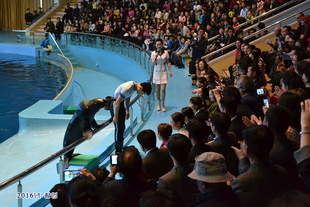 국제적인 예술축전《4월의 봄 친선예술축전》(2)