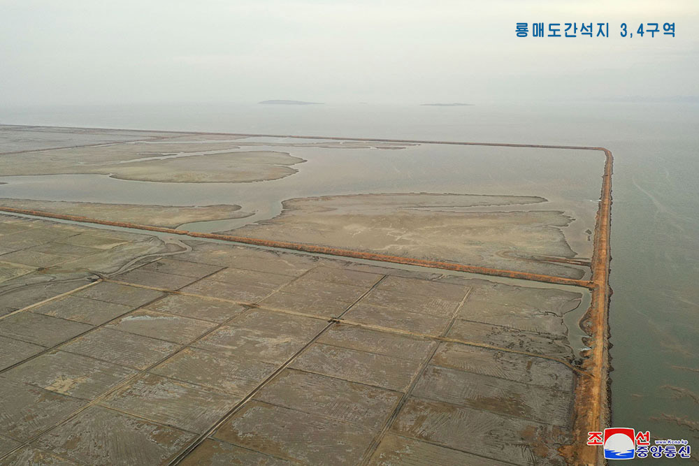 서해지구에 일떠선 간석지