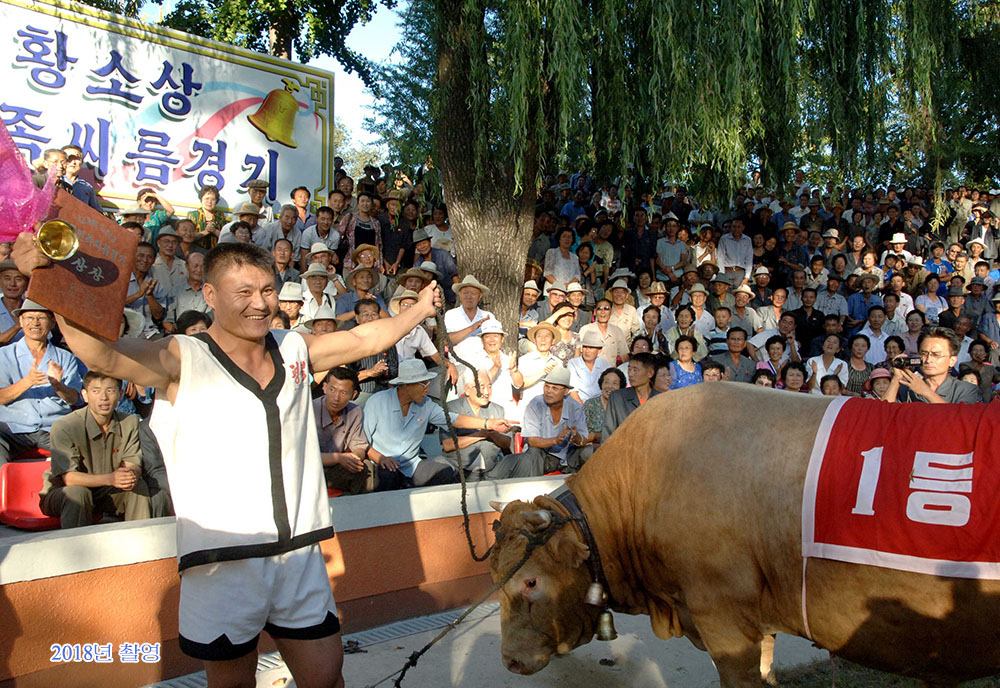 오랜 전통을 가진 조선씨름