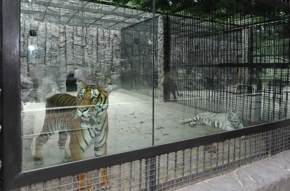 中央动物园