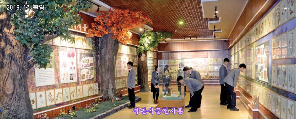 종합대학 자연박물관