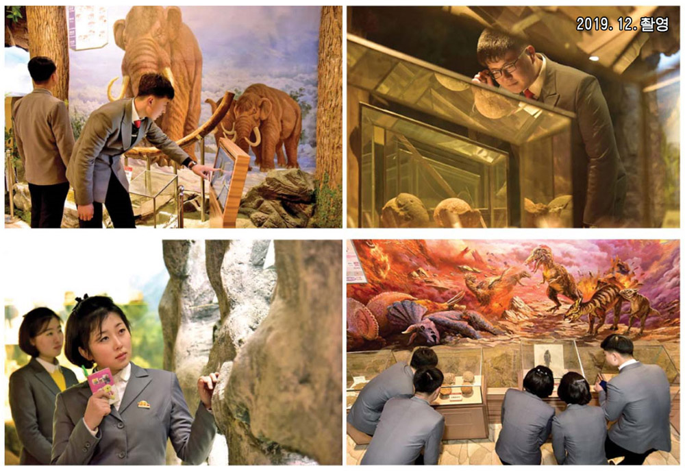 종합대학 자연박물관