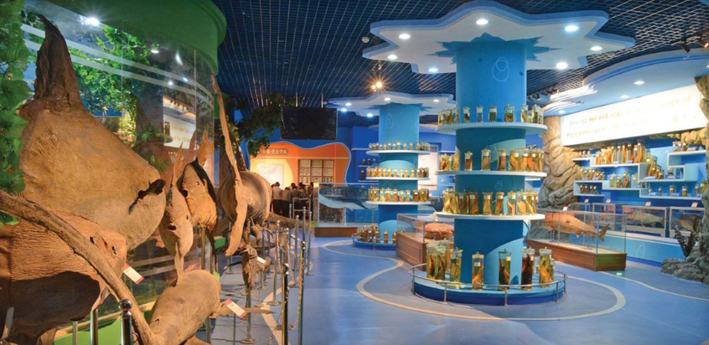 종합대학 자연박물관