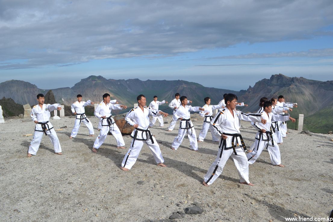 Taekwondo