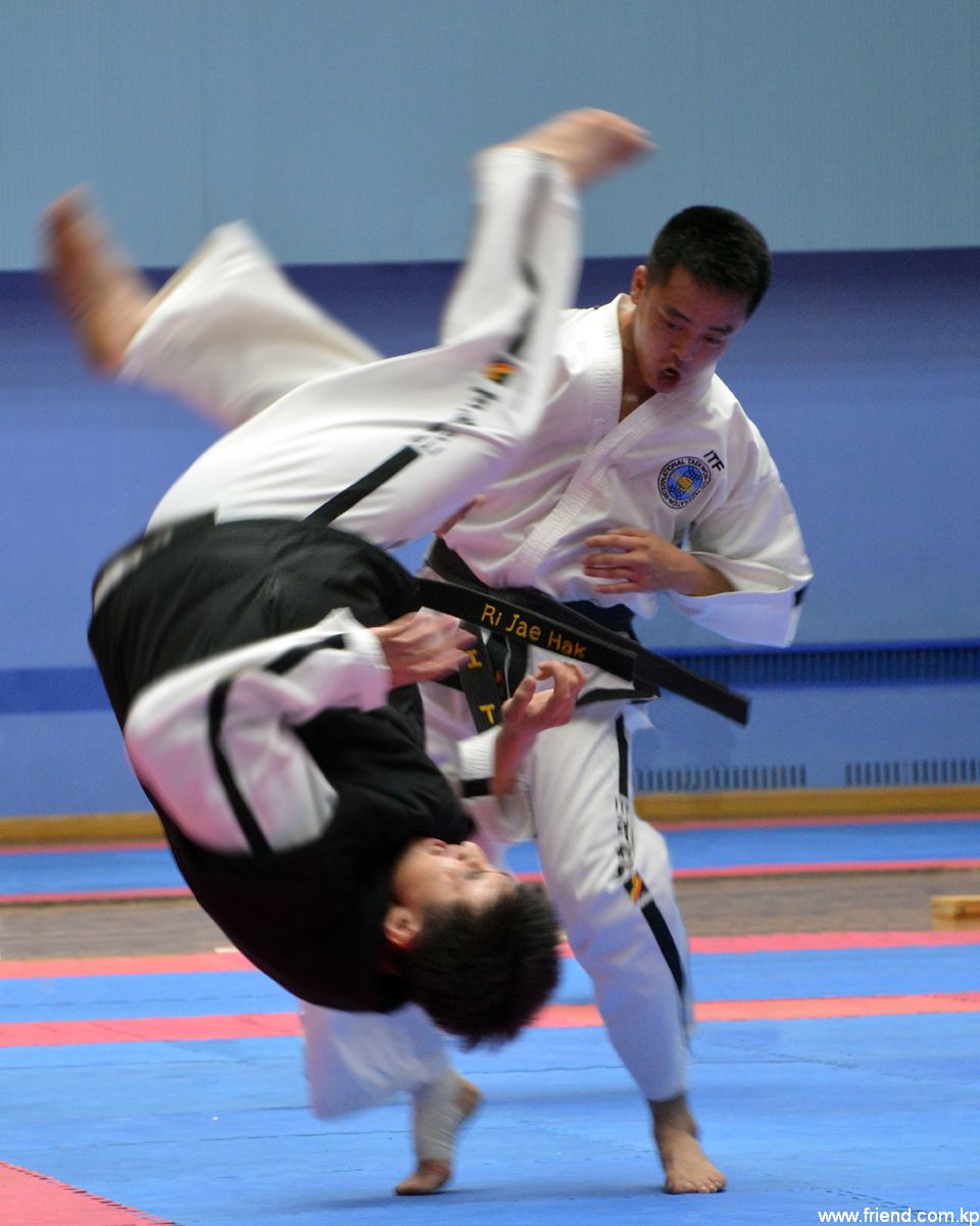 Taekwondo