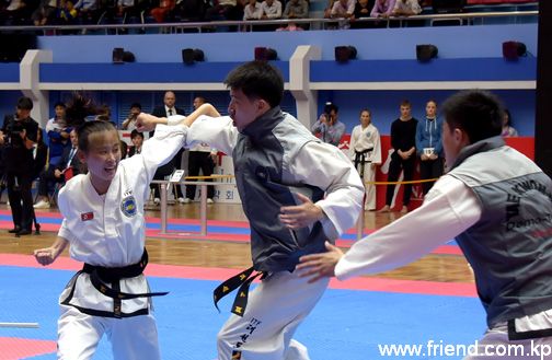 Taekwondo