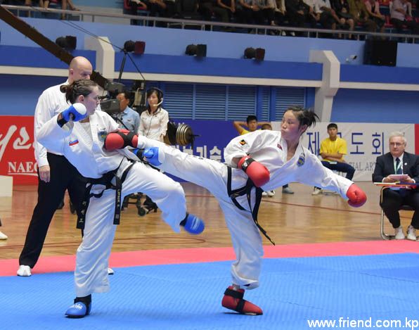 Taekwondo