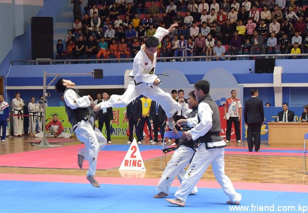 Taekwondo