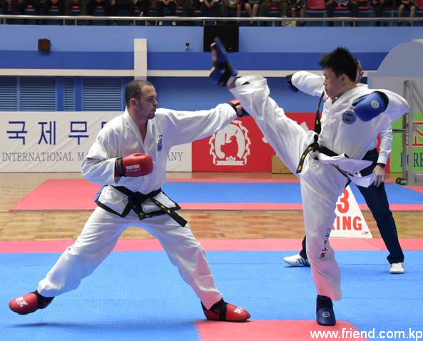 Taekwondo