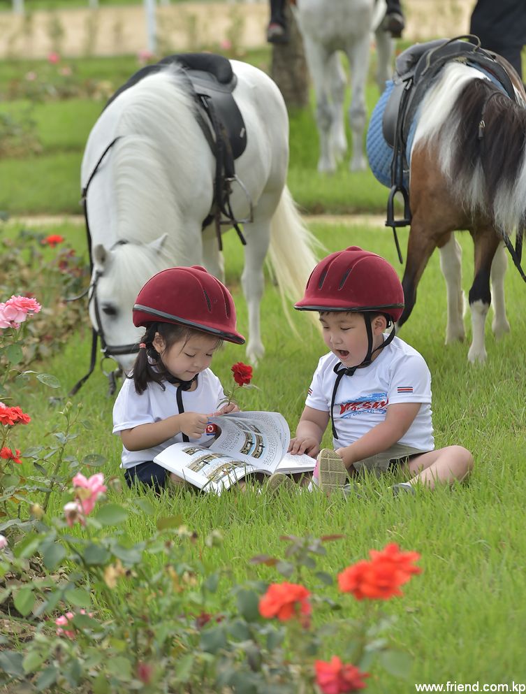 Au Club d’équitation de Mirim
