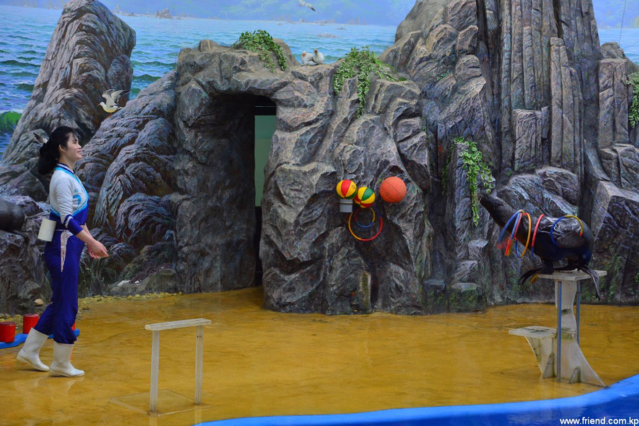 Salon des talents des animaux