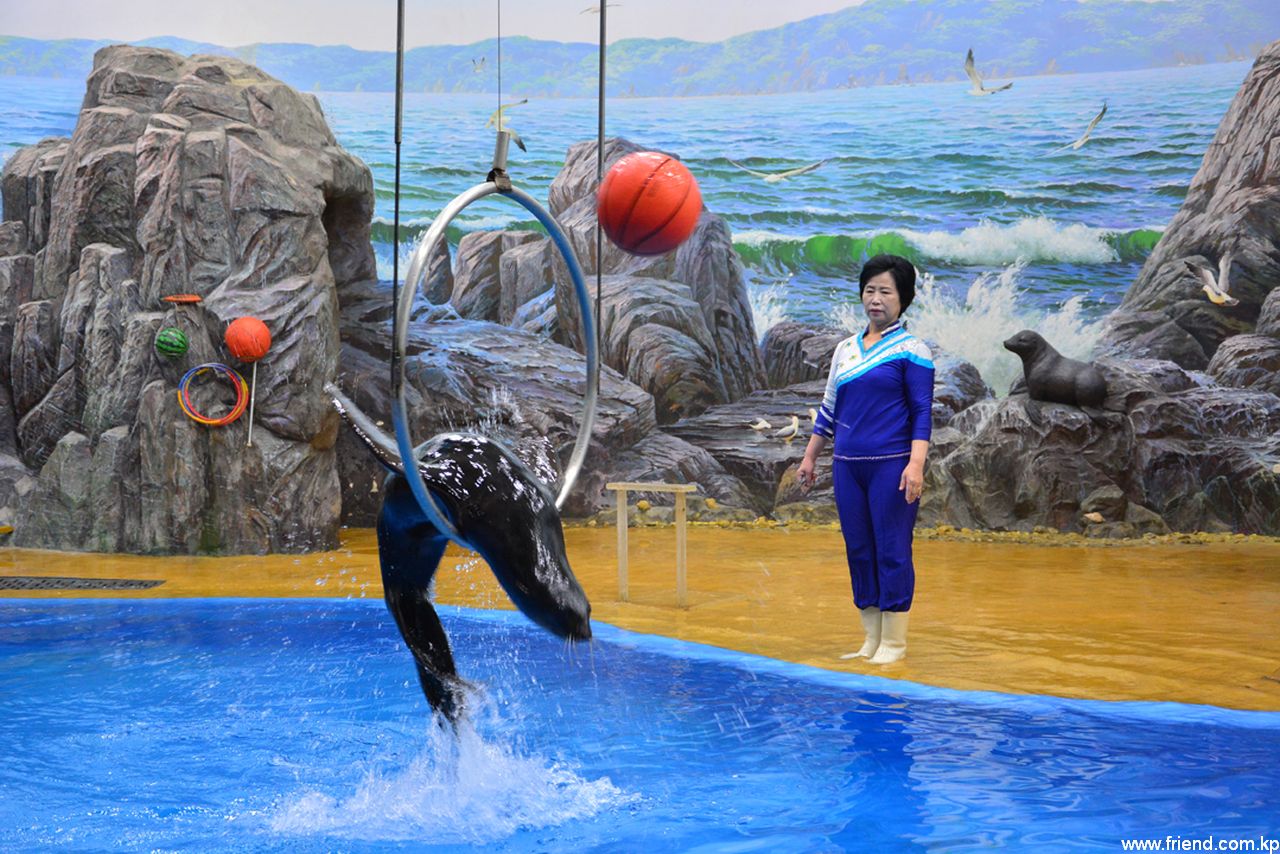 Salon des talents des animaux