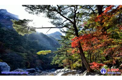 金剛山の秋
