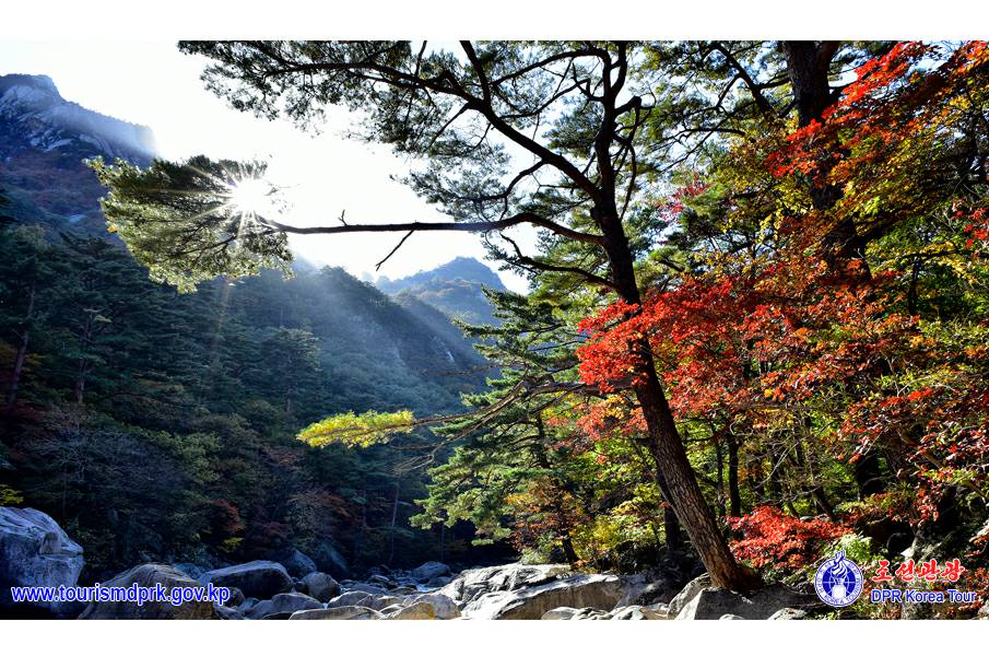 金剛山の秋