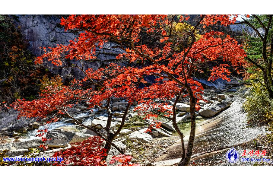 金剛山の秋