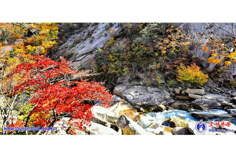 金剛山の秋