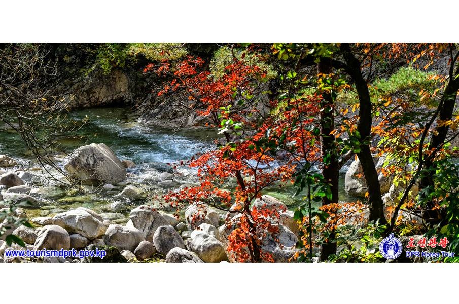 金剛山の秋