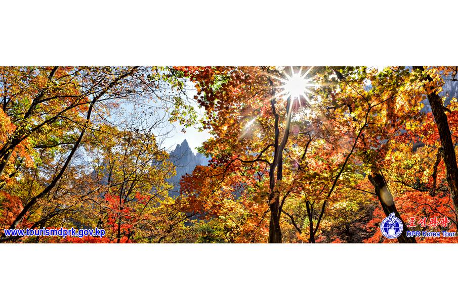 金剛山の秋