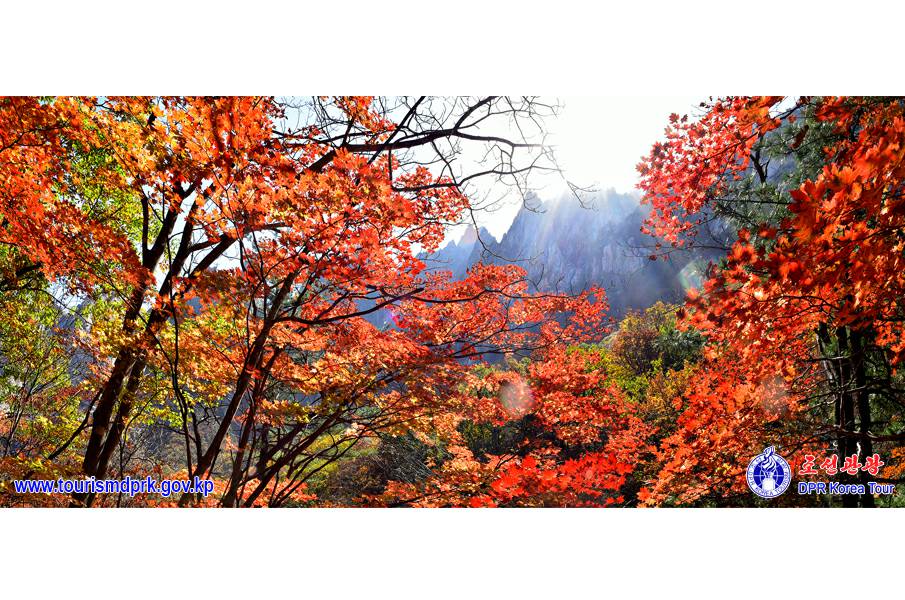 金剛山の秋