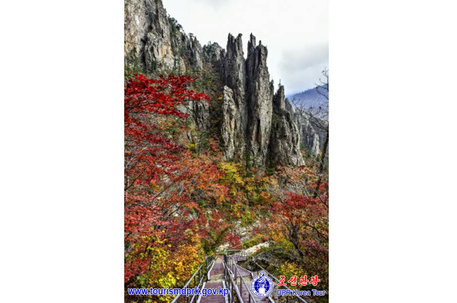 金剛山の秋