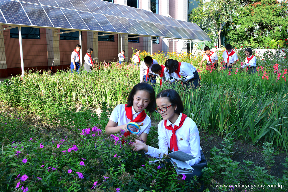 Escuela Secundaria No.1 de Moranbong