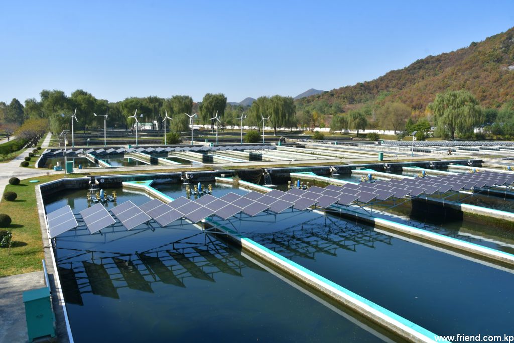 Le bassin piscicole de Sinchang