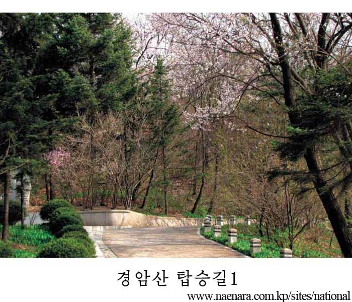 Mt Kyongam