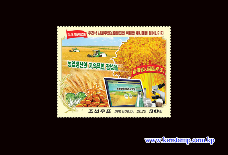 Programme for the Rural Revolution in the New Era