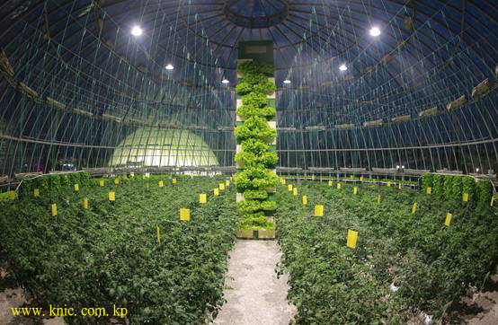 Kangdong General Greenhouse Farm