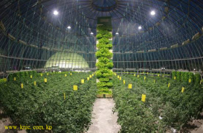 Kangdong General Greenhouse Farm