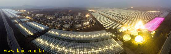 Kangdong General Greenhouse Farm