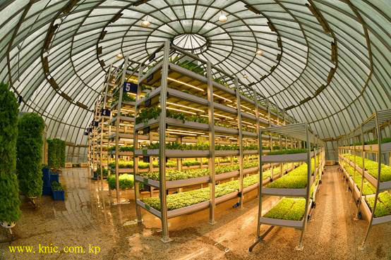 Kangdong General Greenhouse Farm