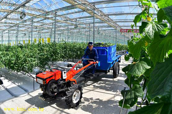 Kangdong General Greenhouse Farm