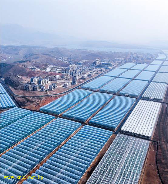 Kangdong General Greenhouse Farm