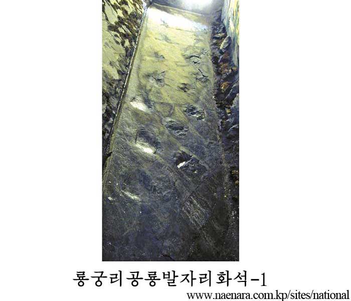 Fossilized Footprints of Dinosauria at Ryonggung-ri