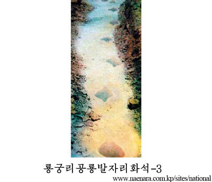 Fossilized Footprints of Dinosauria at Ryonggung-ri