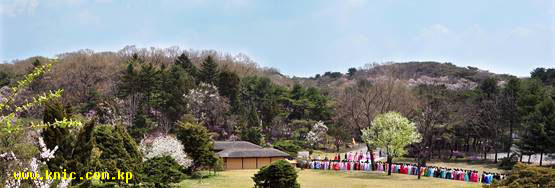 The view of Pyongyang in a meaningful spring season of April