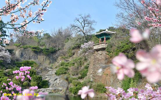 The view of Pyongyang in a meaningful spring season of April